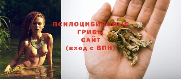 ГАЛЛЮЦИНОГЕННЫЕ ГРИБЫ Абаза