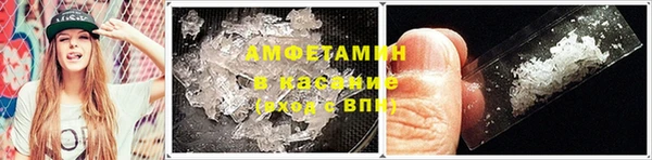 ГАЛЛЮЦИНОГЕННЫЕ ГРИБЫ Абаза