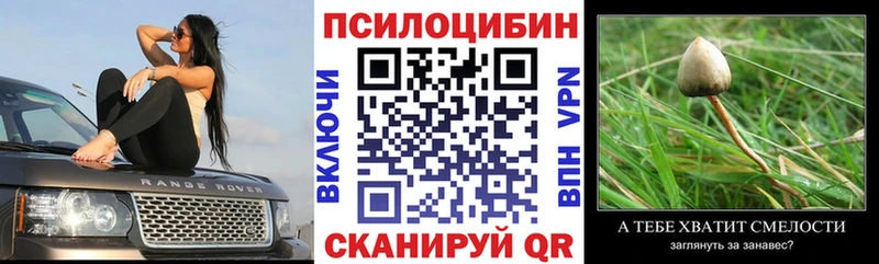 продажа наркотиков Серпухов Галлюциногенные грибы Magic Shrooms